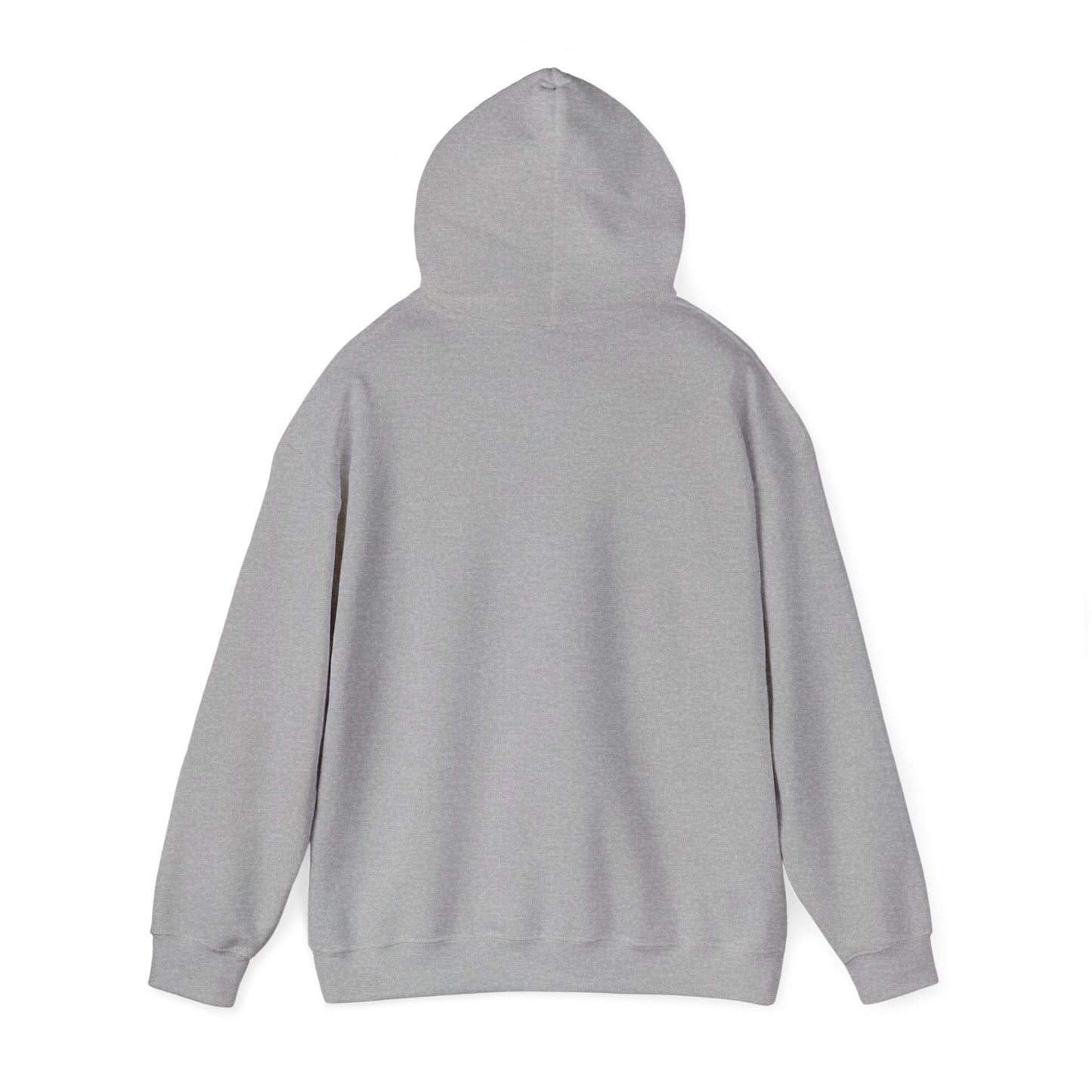 Neurodiversity Pride Spiral Hoodie | autism acceptance, autistic pride