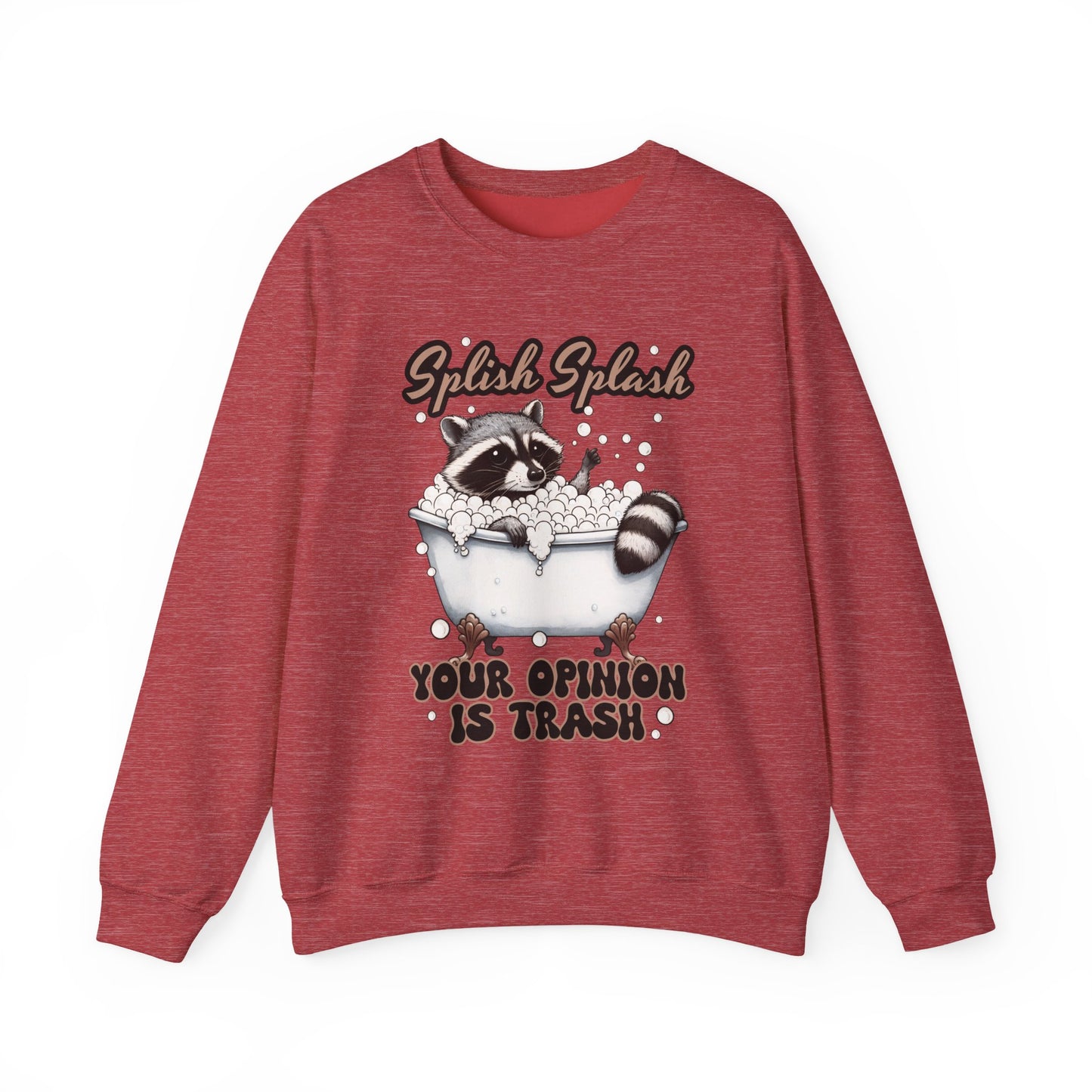 Playful Raccoon Sweatshirt