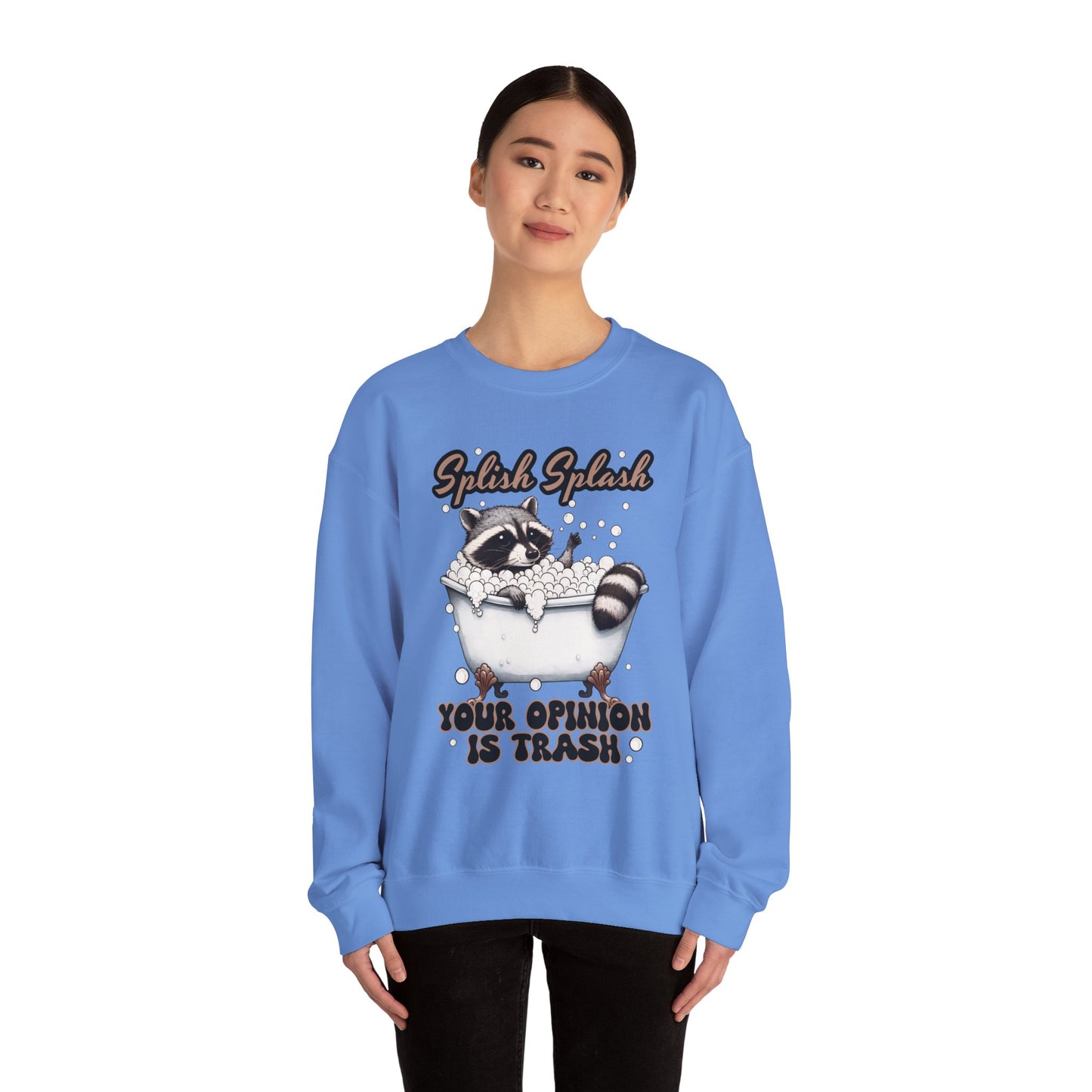 Playful Raccoon Sweatshirt