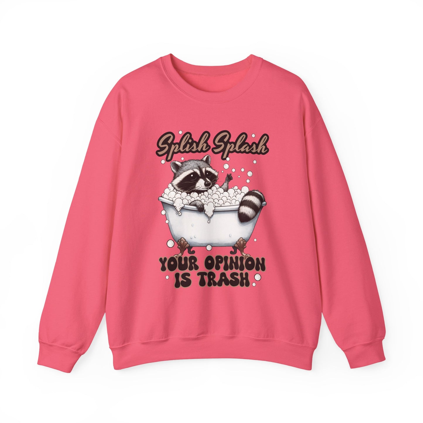 Playful Raccoon Sweatshirt