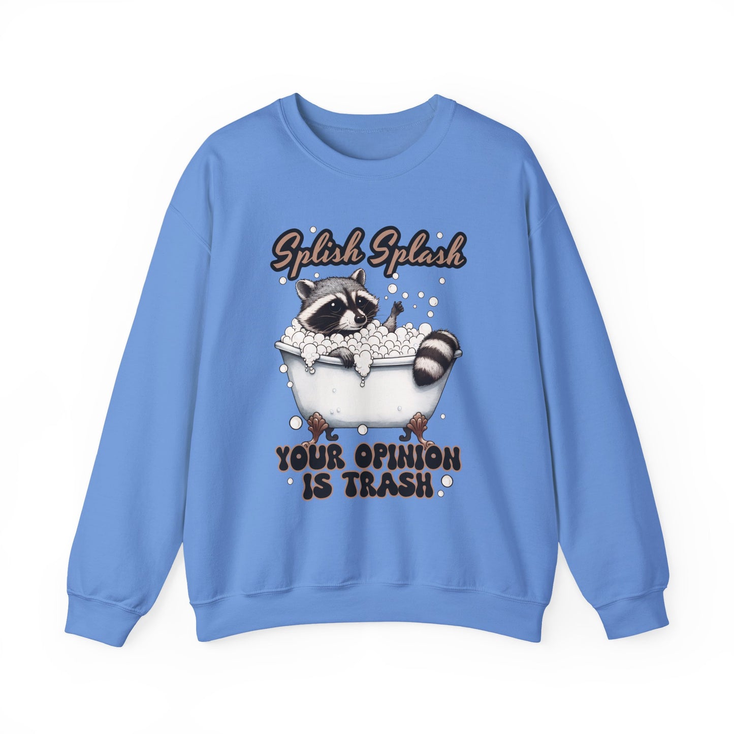 Playful Raccoon Sweatshirt
