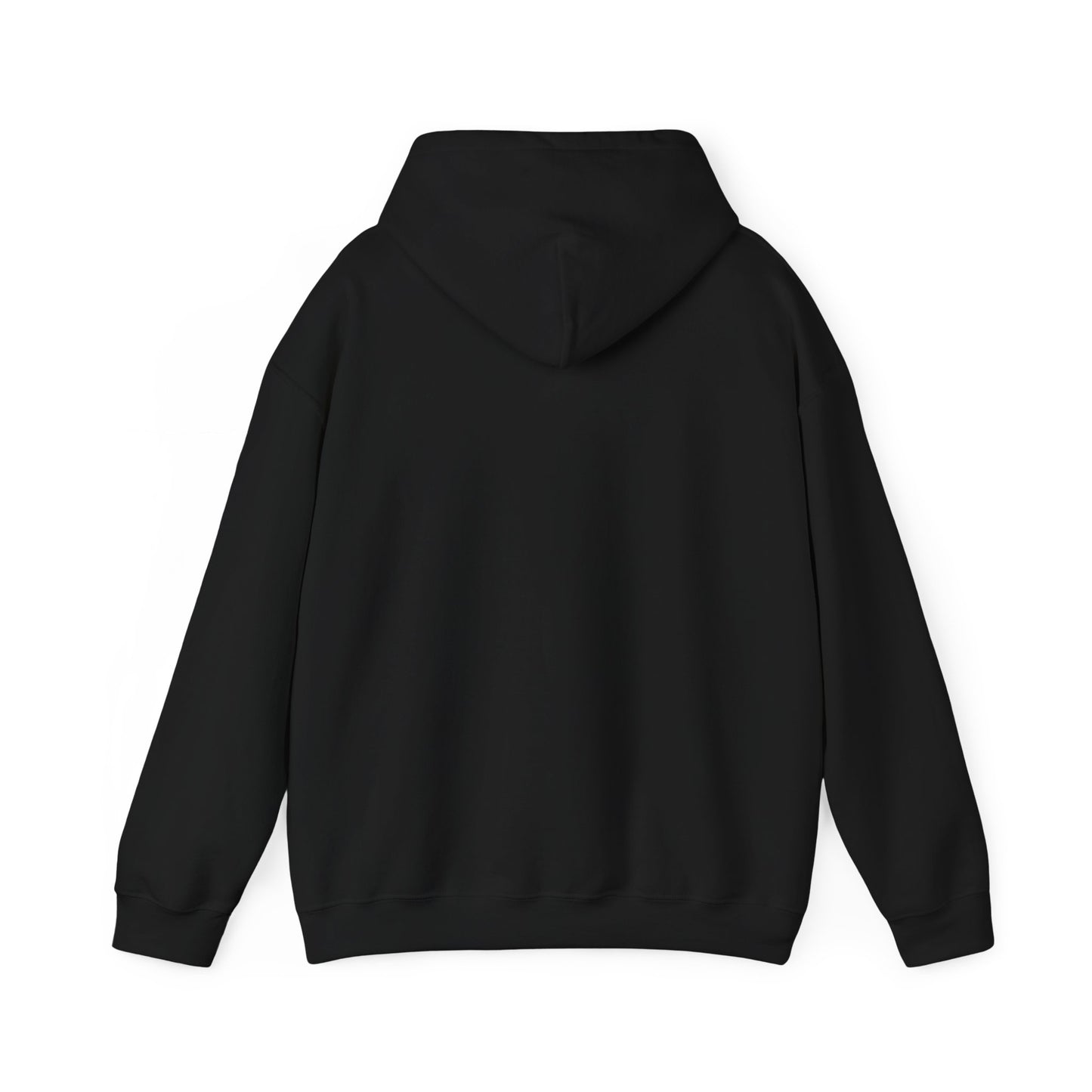 Teaching Controlled Chaos Hoodie | teacher appreciation, teacher life