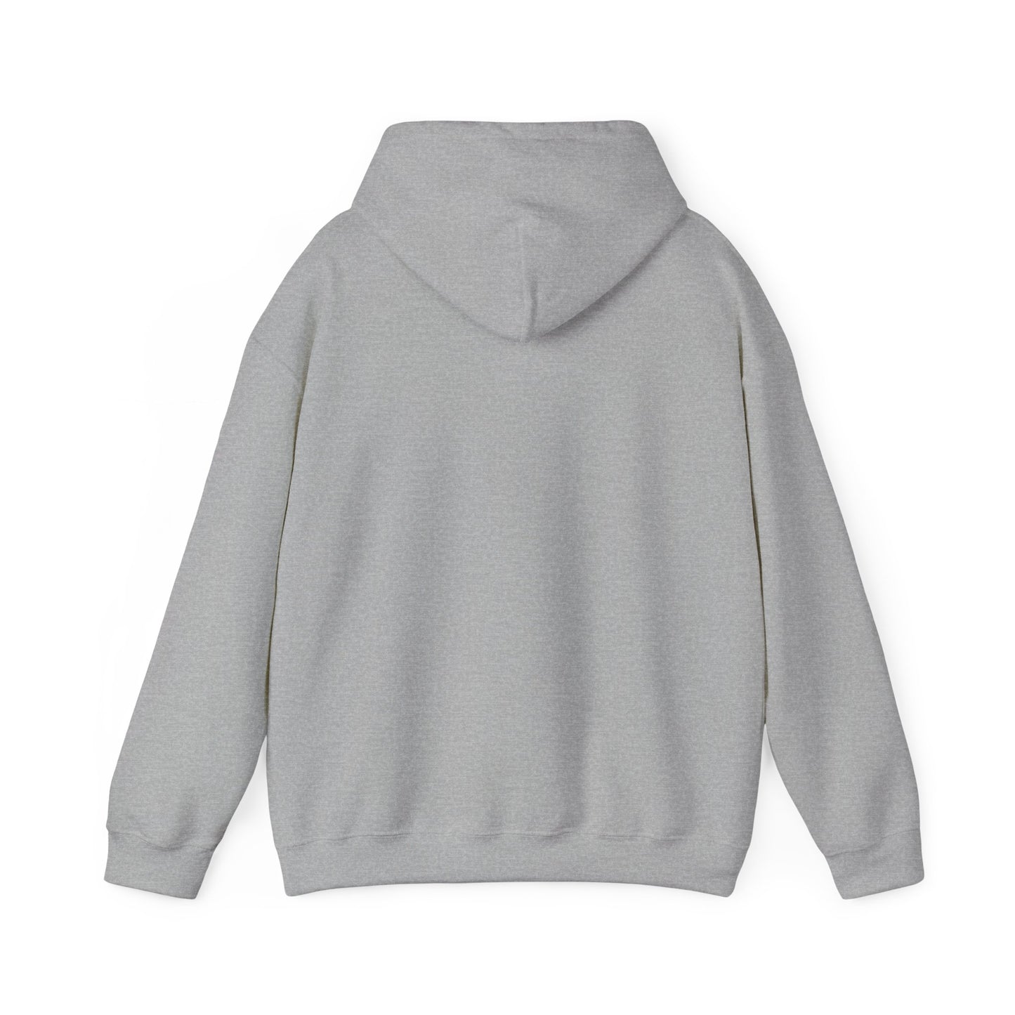 Teaching Controlled Chaos Hoodie | teacher appreciation, teacher life